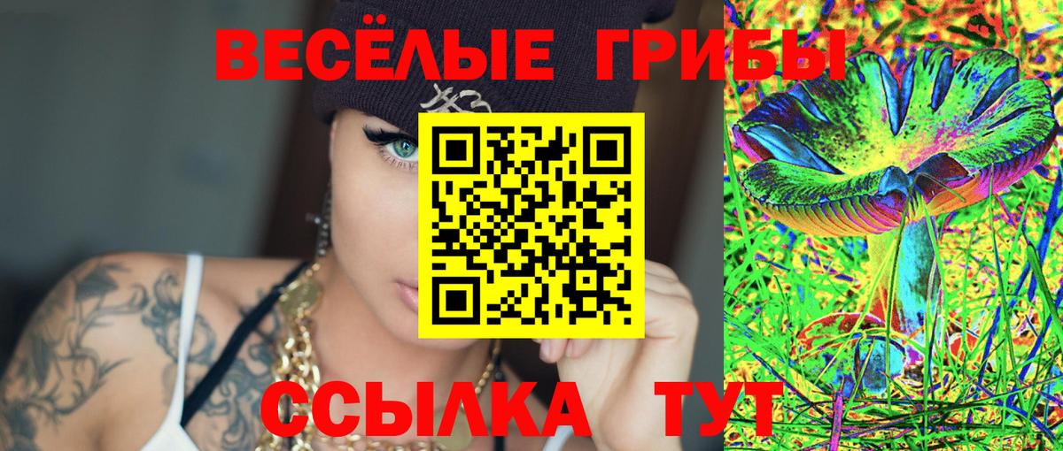 закладка  Вход с VPN  Троицк  Галлюциногенные грибы Magic Shrooms 