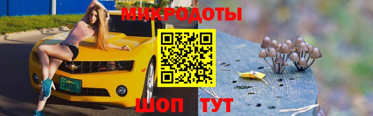 Галлюциногенные грибы Psilocybe Троицк